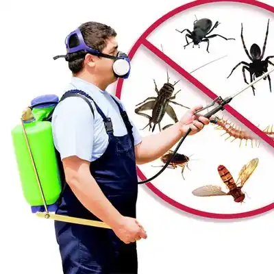 pest control Port Norris